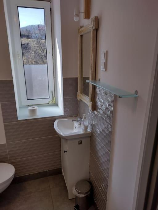 Appartamento Sudety Hut 3 Podgórzyn Esterno foto